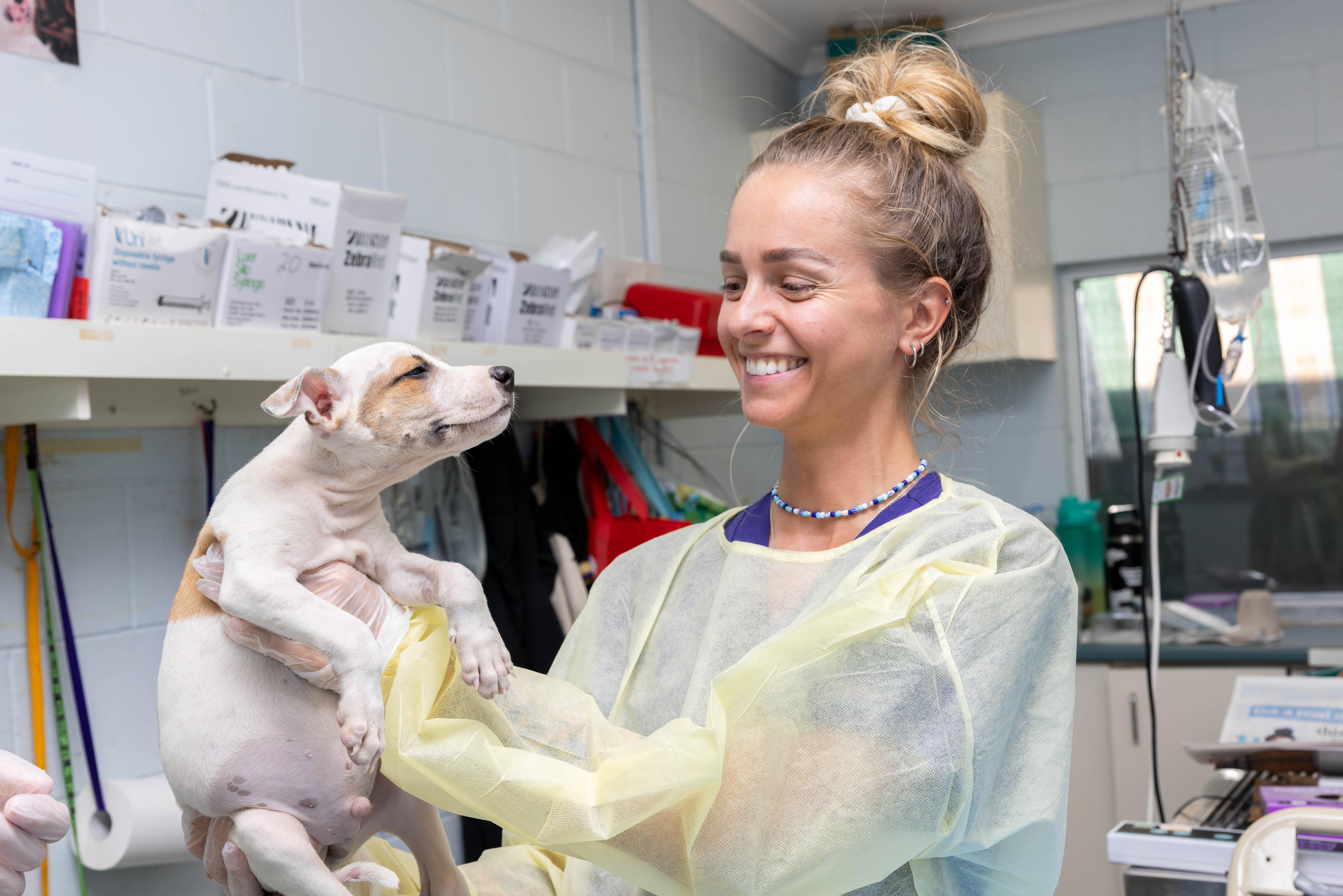 Vet nurse in protective gown holding a puppy