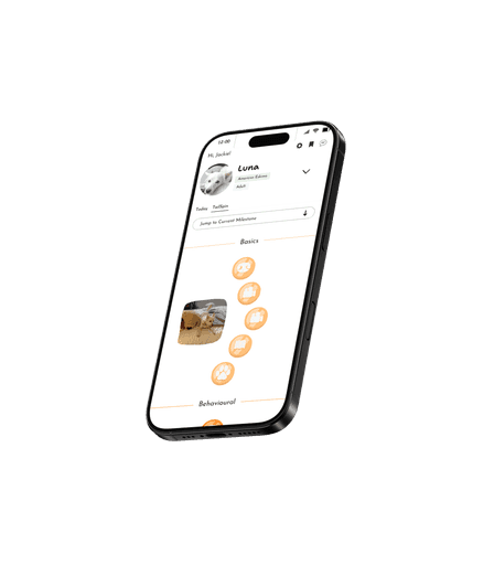 snout app dashboard showing personalized dog anxiety training progress tracker