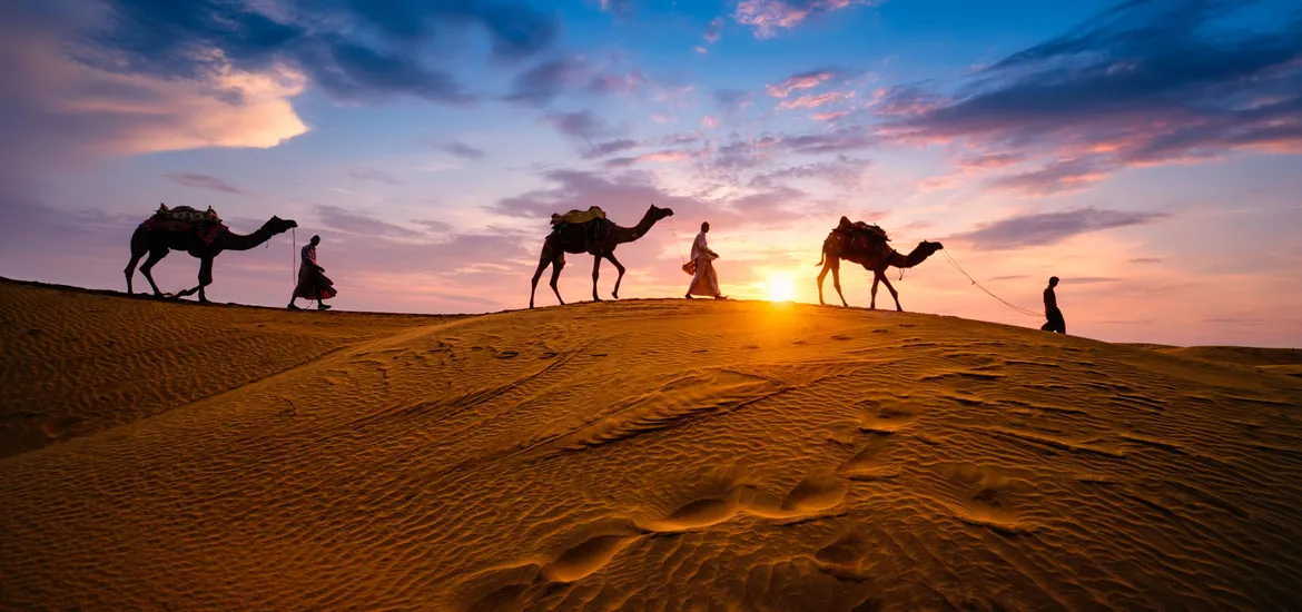 <img src="baywatch-view-sankol-goa.jpg" alt="Baywatch View in Sankol, Goa – a scenic coastal retreat with breathtaking ocean views and tranquil surroundings" />