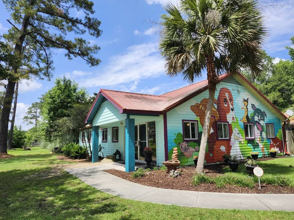 A colorful house with a red roof, surrounded by greenery and palm trees, under a clear blue sky.