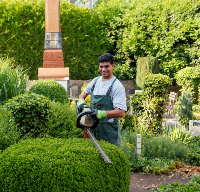 Justo Professional Landscaper trimming hedge