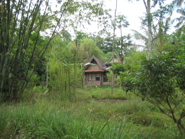 Yin Yang (Split Off / Sigaraning Penggalih) | Ruas Bambu Nusa