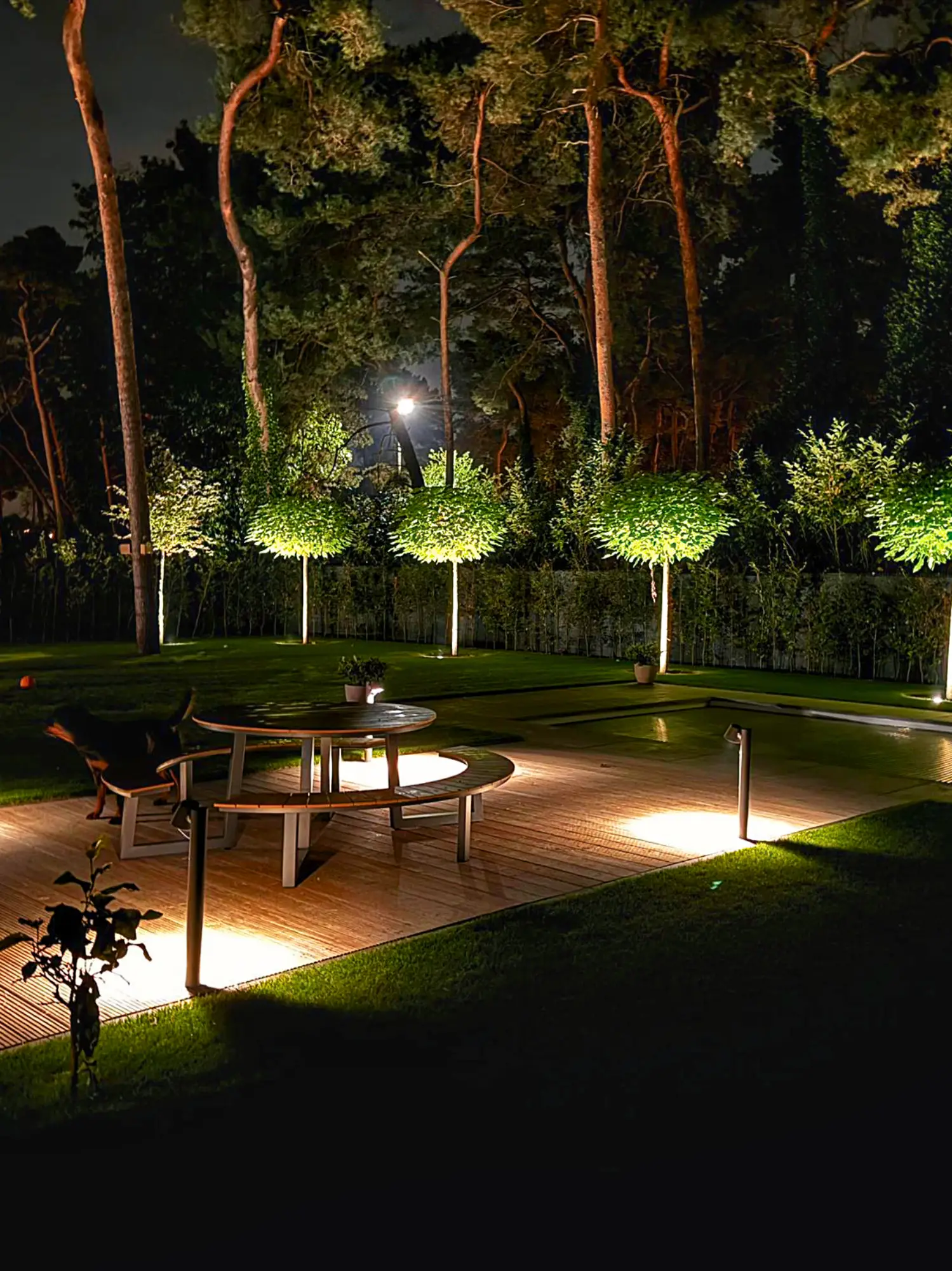 Totaalproject tuin – Alles in één hand || Boogerd Bestratingen