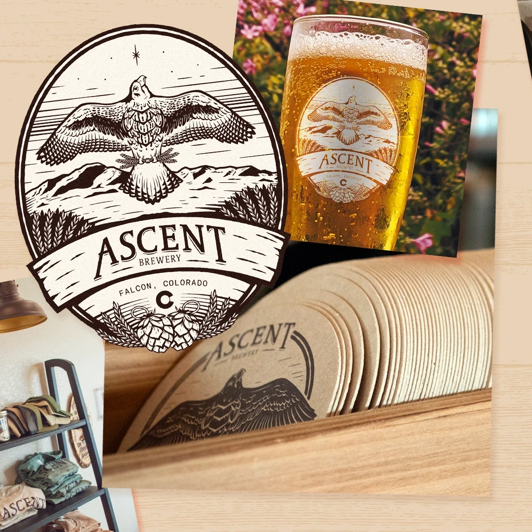 A cluster of brightly colored cat products like plush toys of a crab, shark, snake, and jellyfish. Also featured are bags of catnip.