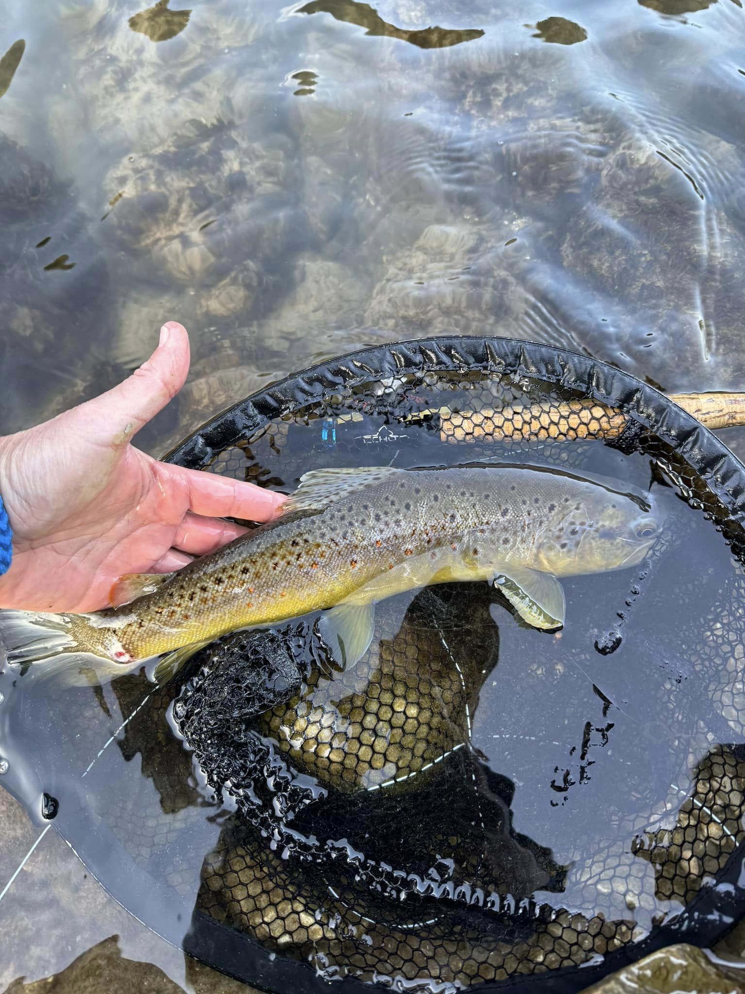 Plan your tenkara fishing trip in the Dolomites, near Venice in northern Italy. Catch brown trout using traditional techniques in stunning alpine waters, guided by experienced instructors. Ideal for anglers seeking a unique and tranquil Italian excursion.