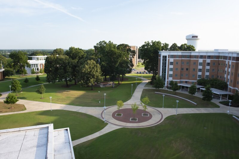 white university during daytime