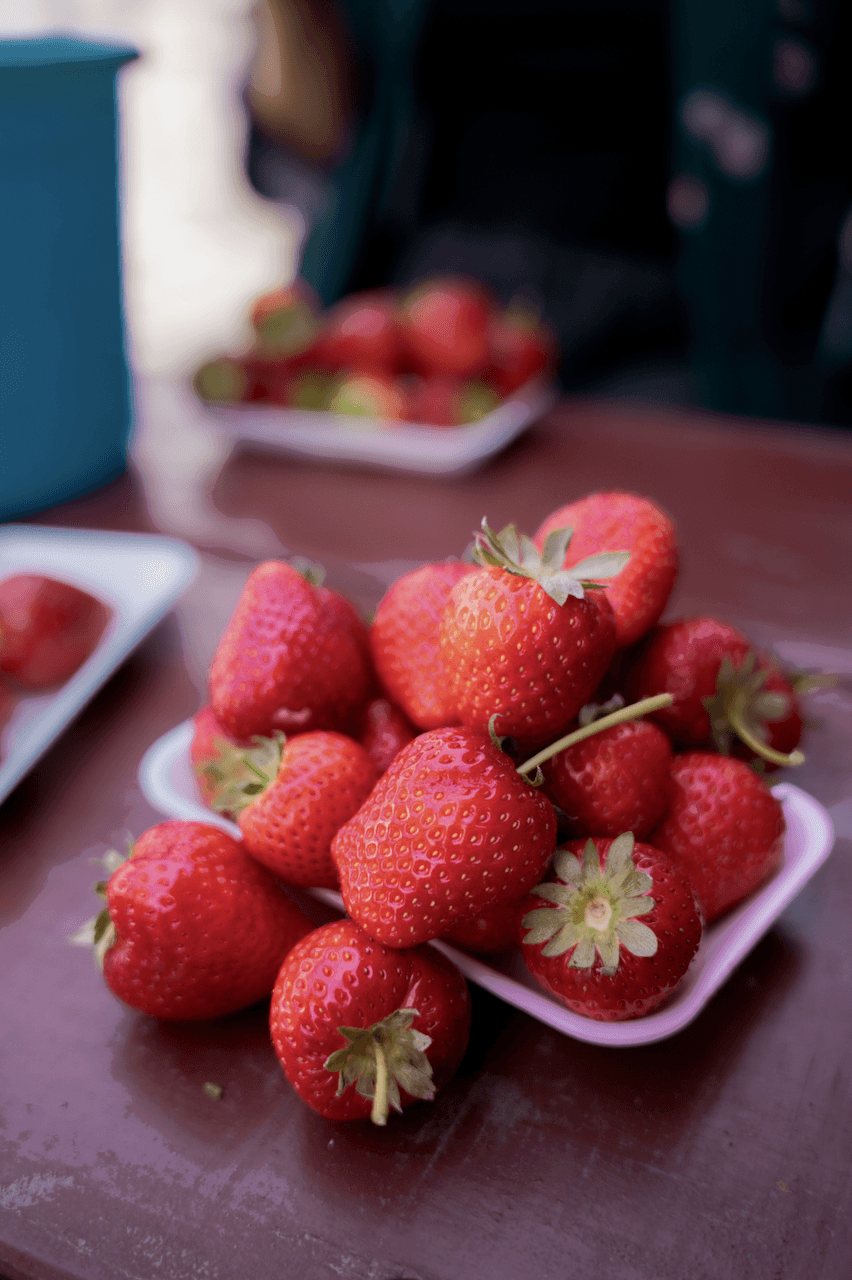 Tray stacked with freshly picked strawberries