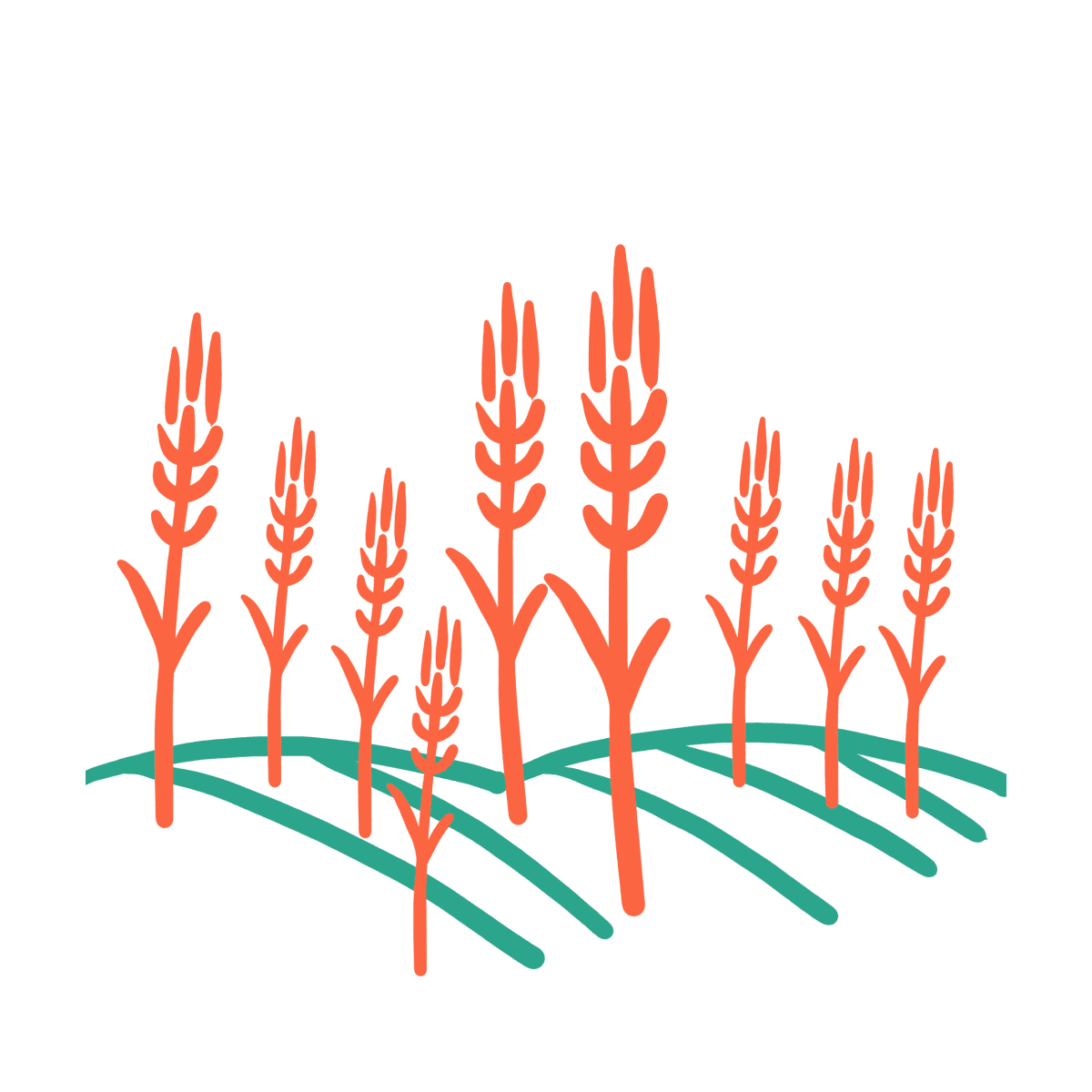 Cover Crops Illustration