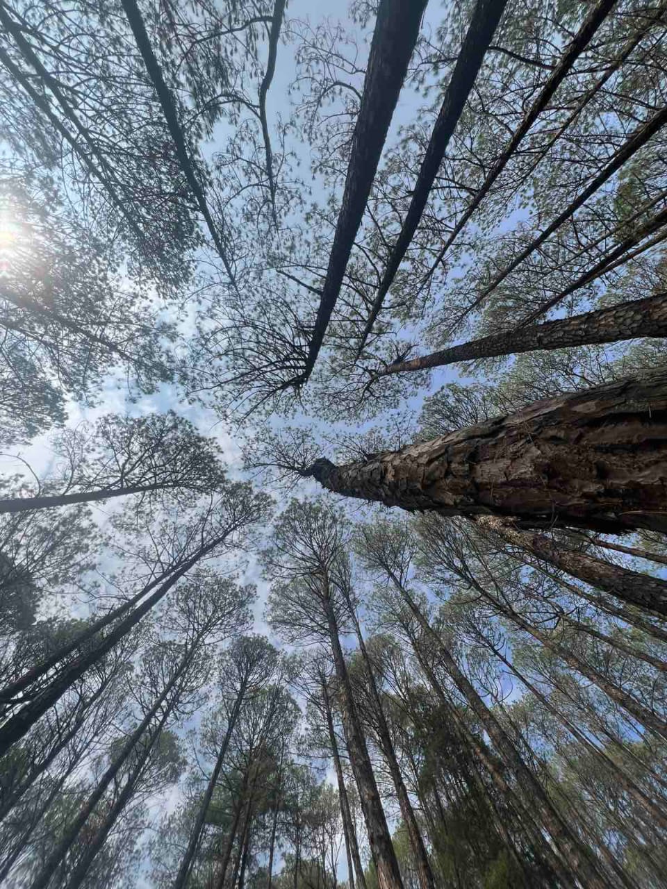 Urban Street Fashion Portrait