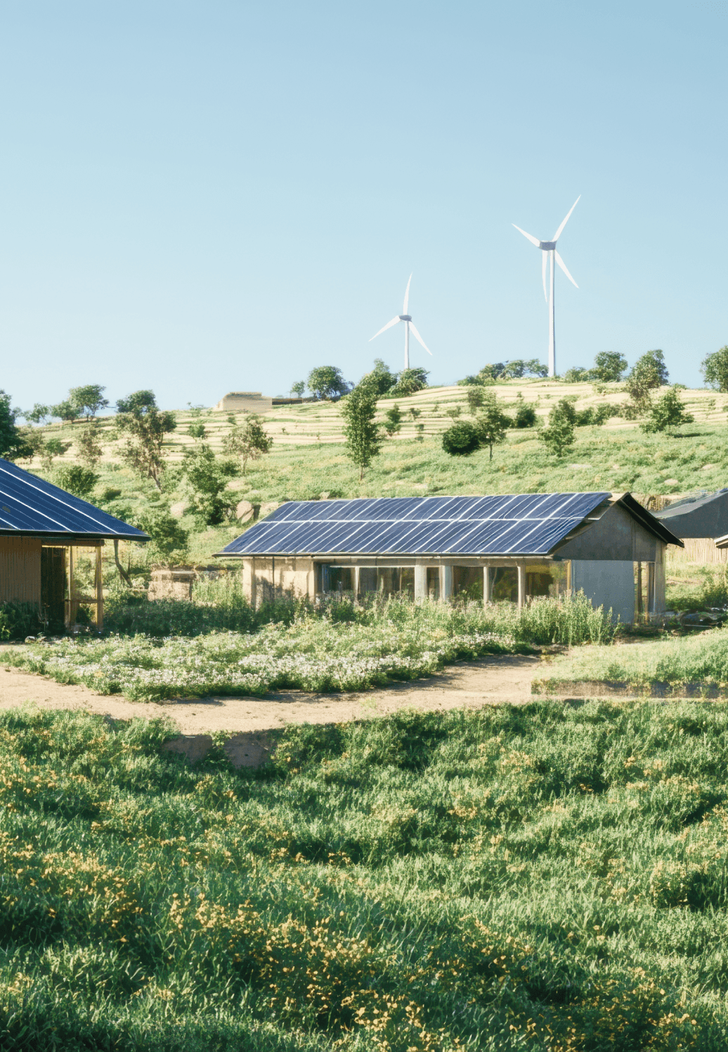 solar panels on the roof