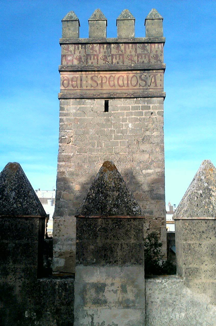 a tree with pink flowers in front of a store