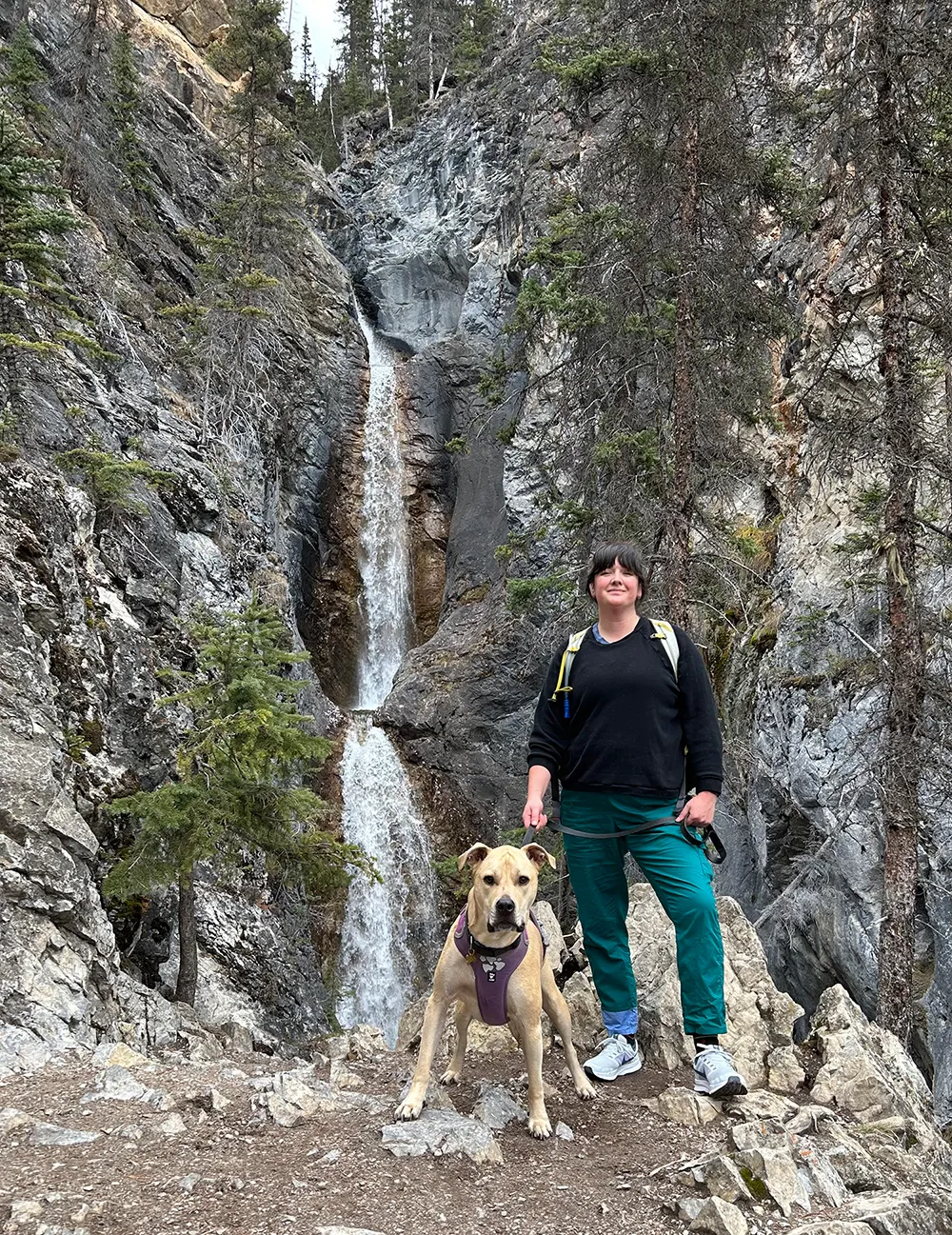 Therapist in the mountains next to her dog