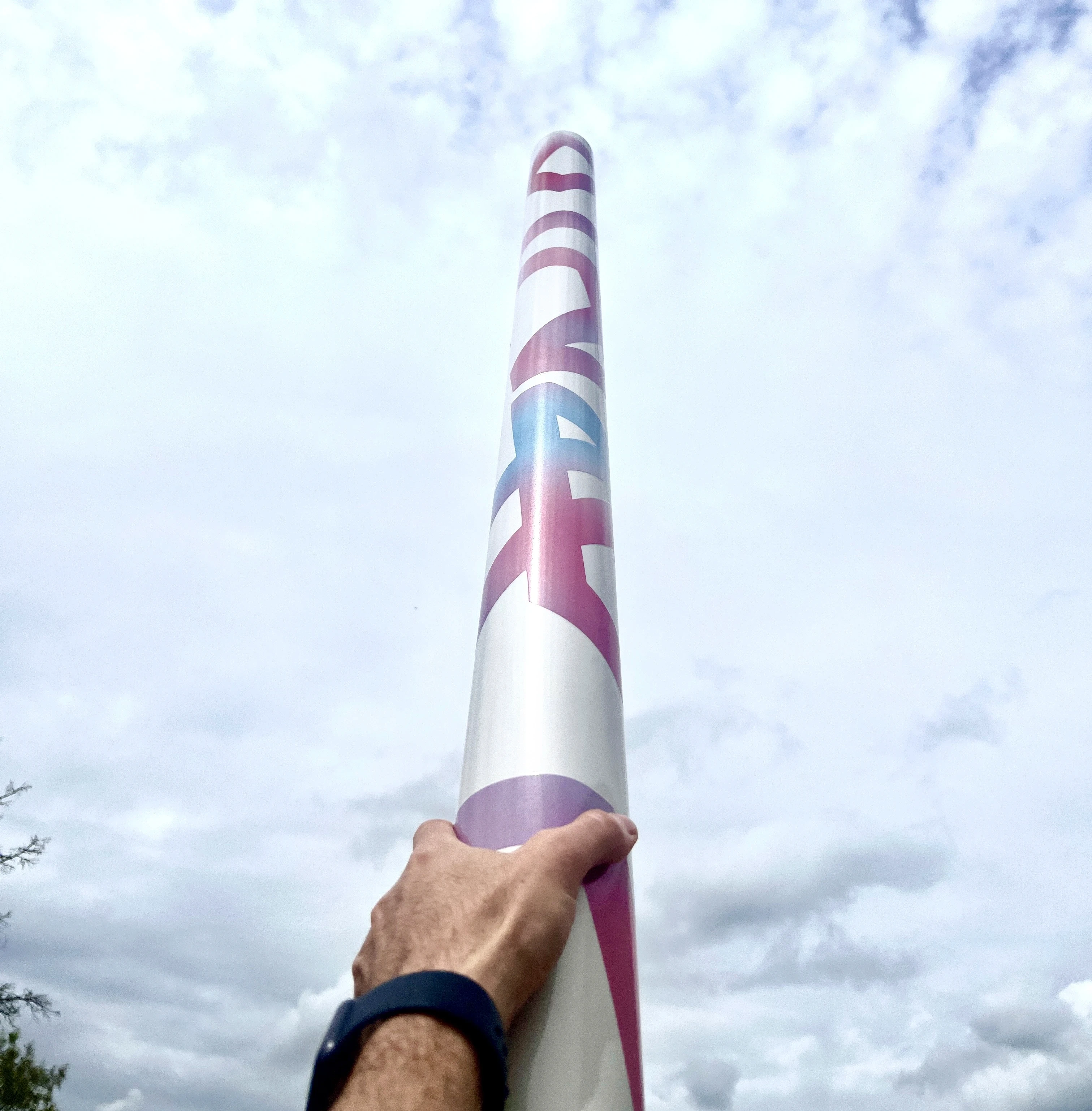 A hand holds a colorful cricket bat pointed toward a cloudy sky in a natural setting.