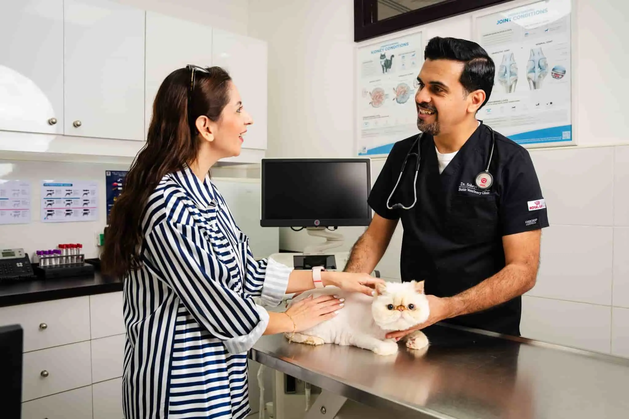 A veterinarian explains the result of the radiograph to the pet owner.