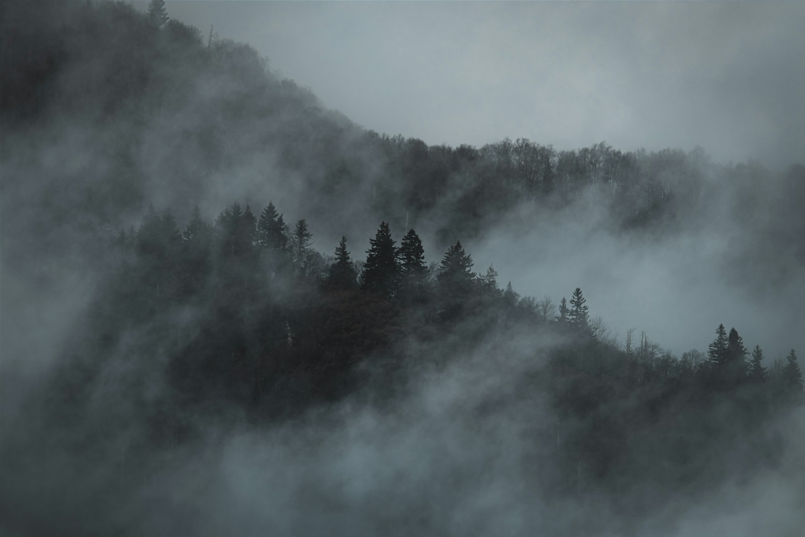 Summit