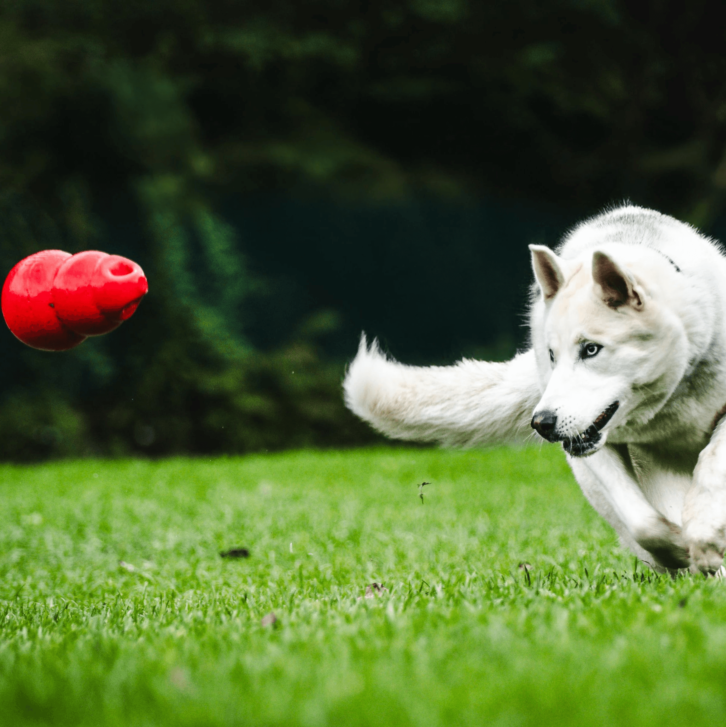 Close-up of beige and taupe-colored Slate Stride sneakers with dynamic curved sole design, worn with white socks and tan trousers, placed on a neutral-toned background.