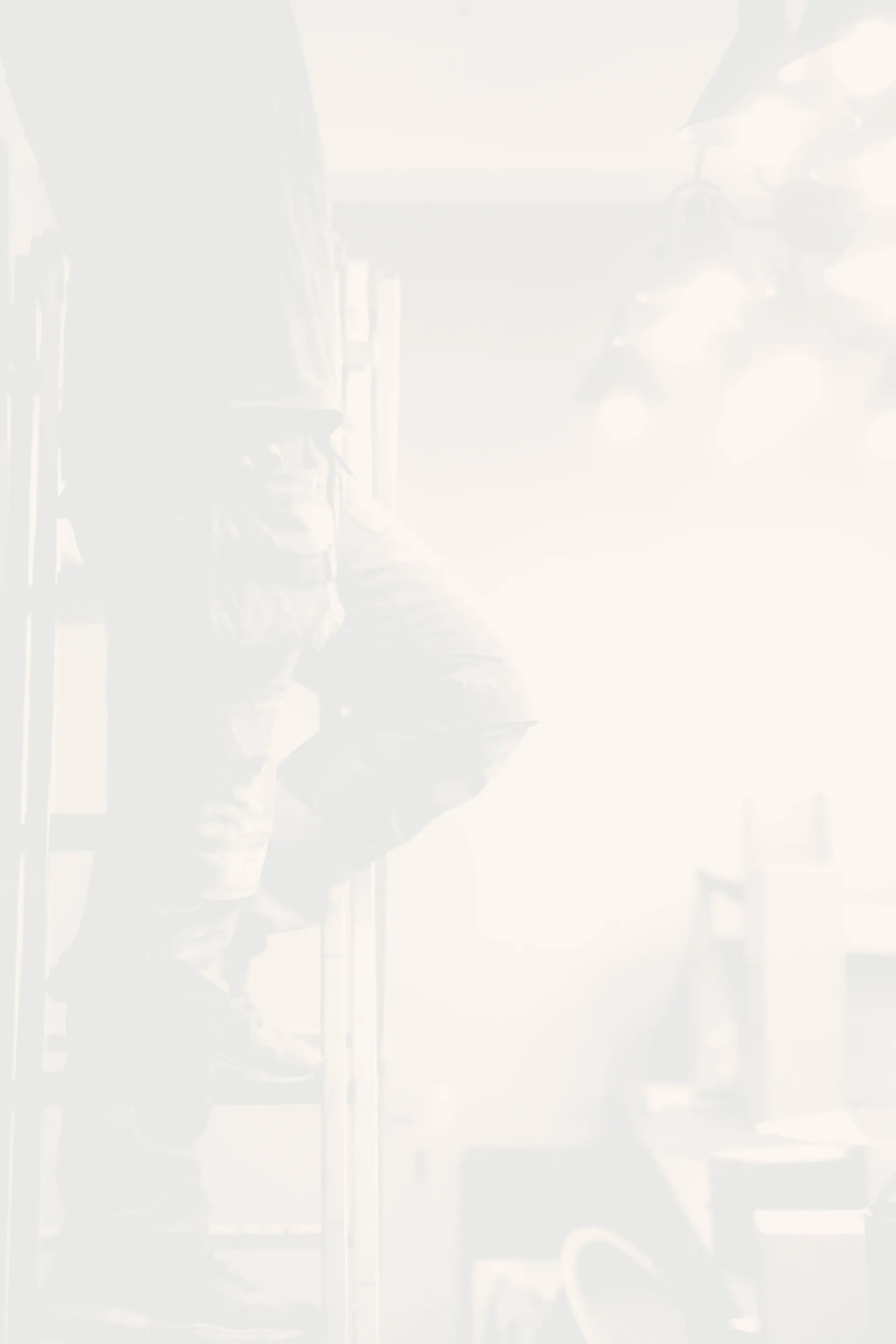 Climbing ladder