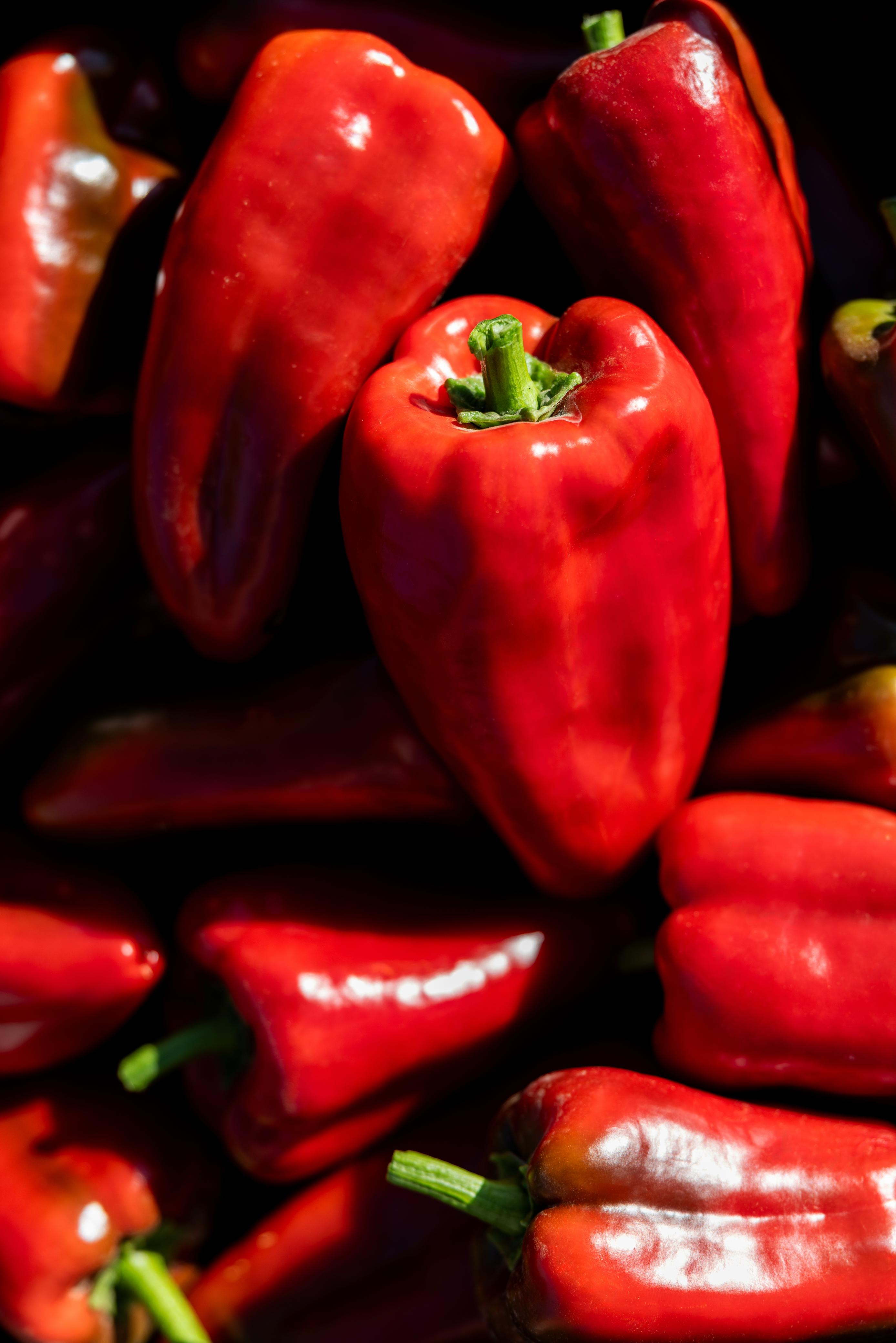 Bodegón de pimientos del Bierzo de intenso color rojo, ingrediente principal de los productos de La Bercianita