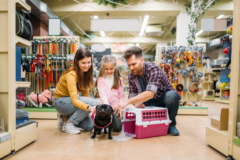 Produtos para animais domésticos