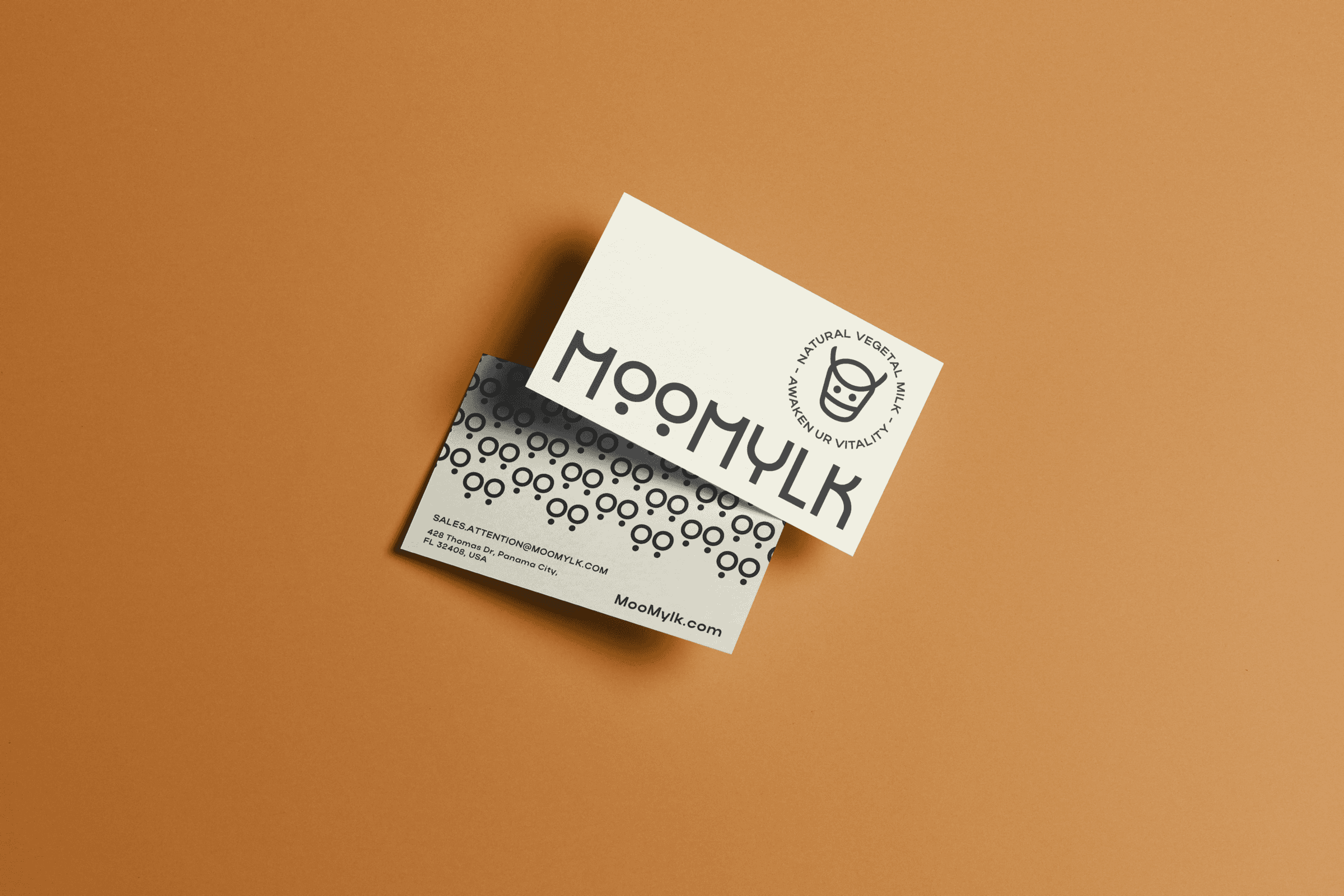 Large Project Gallery Image #2