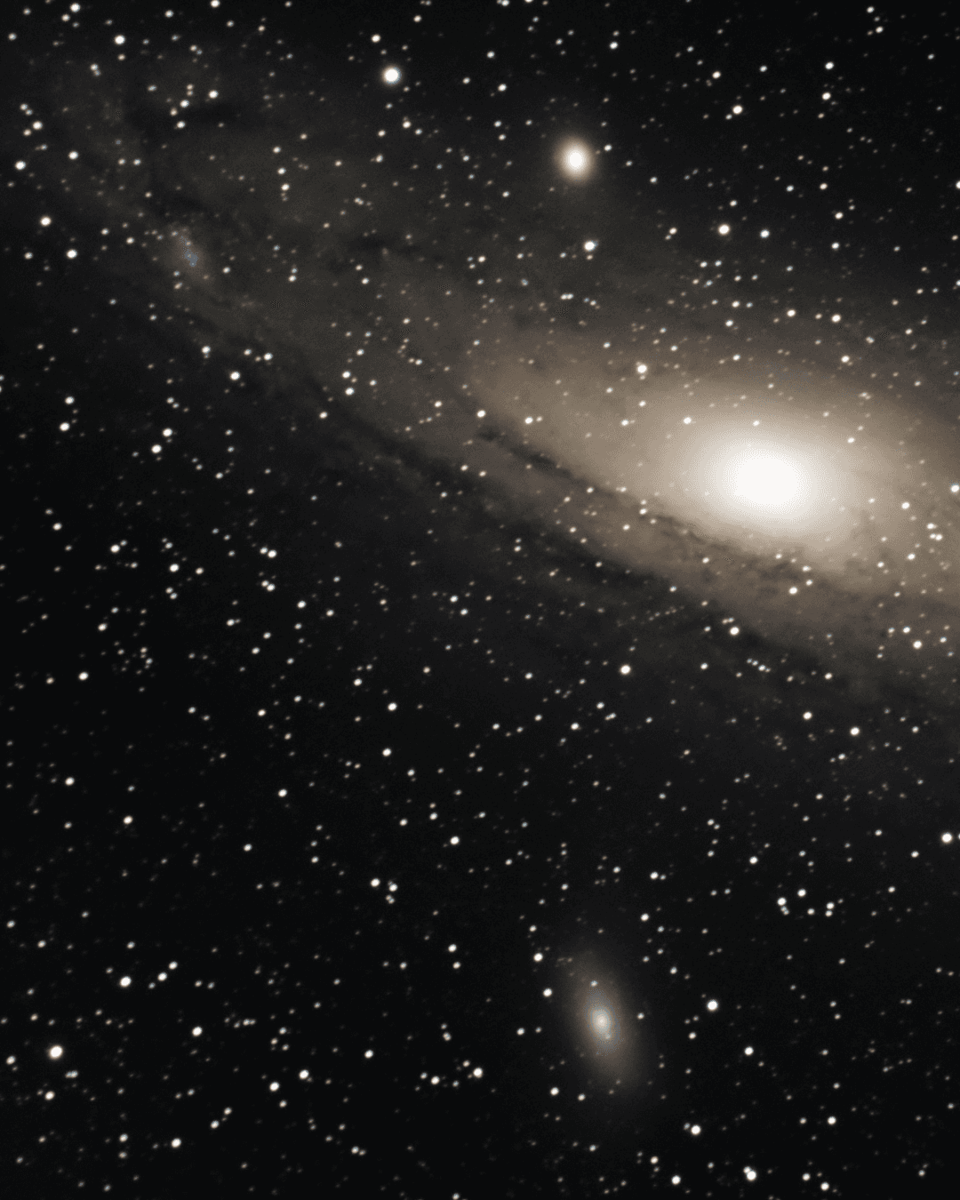 a young girl sitting in the grass holding a book