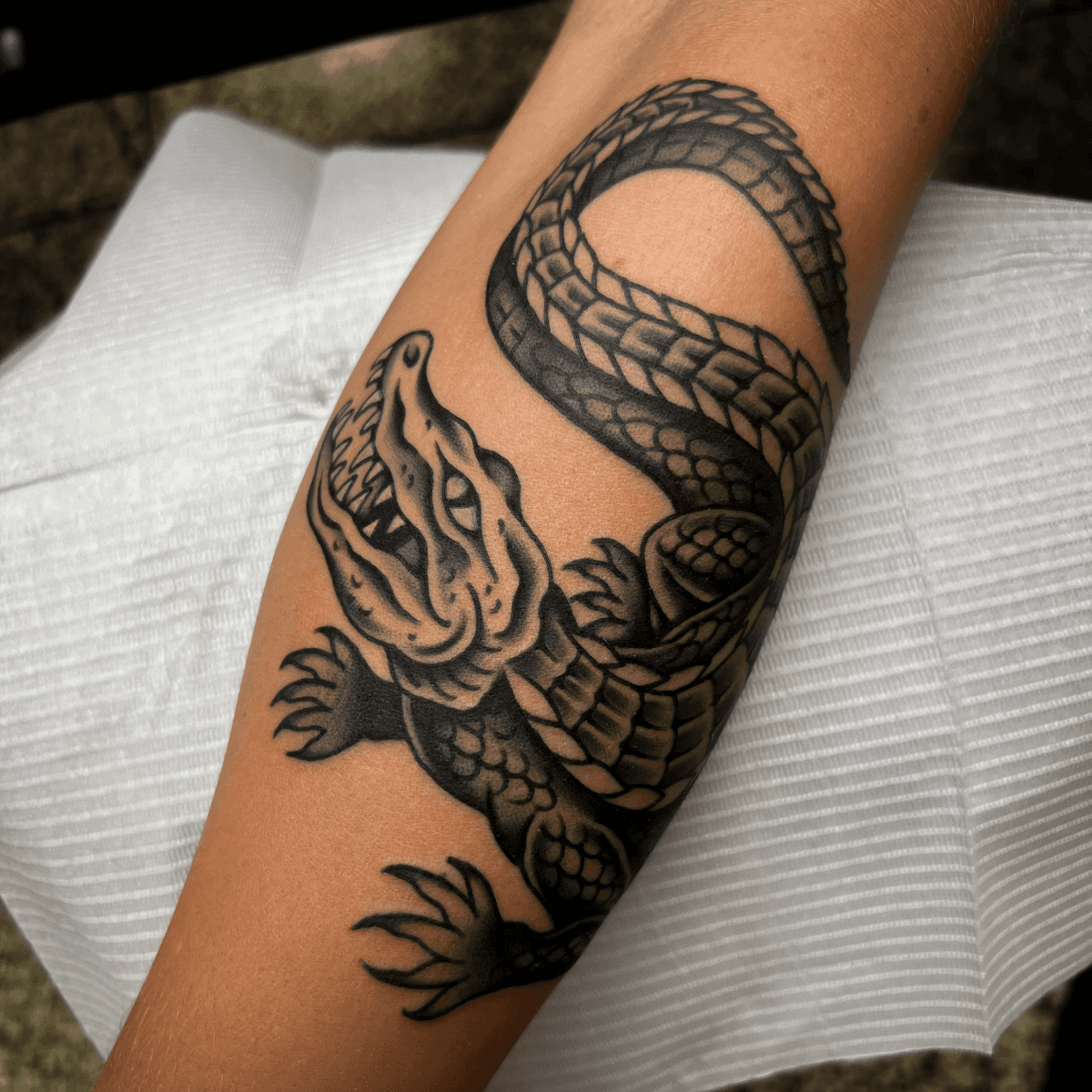 color tattoo of an alligator