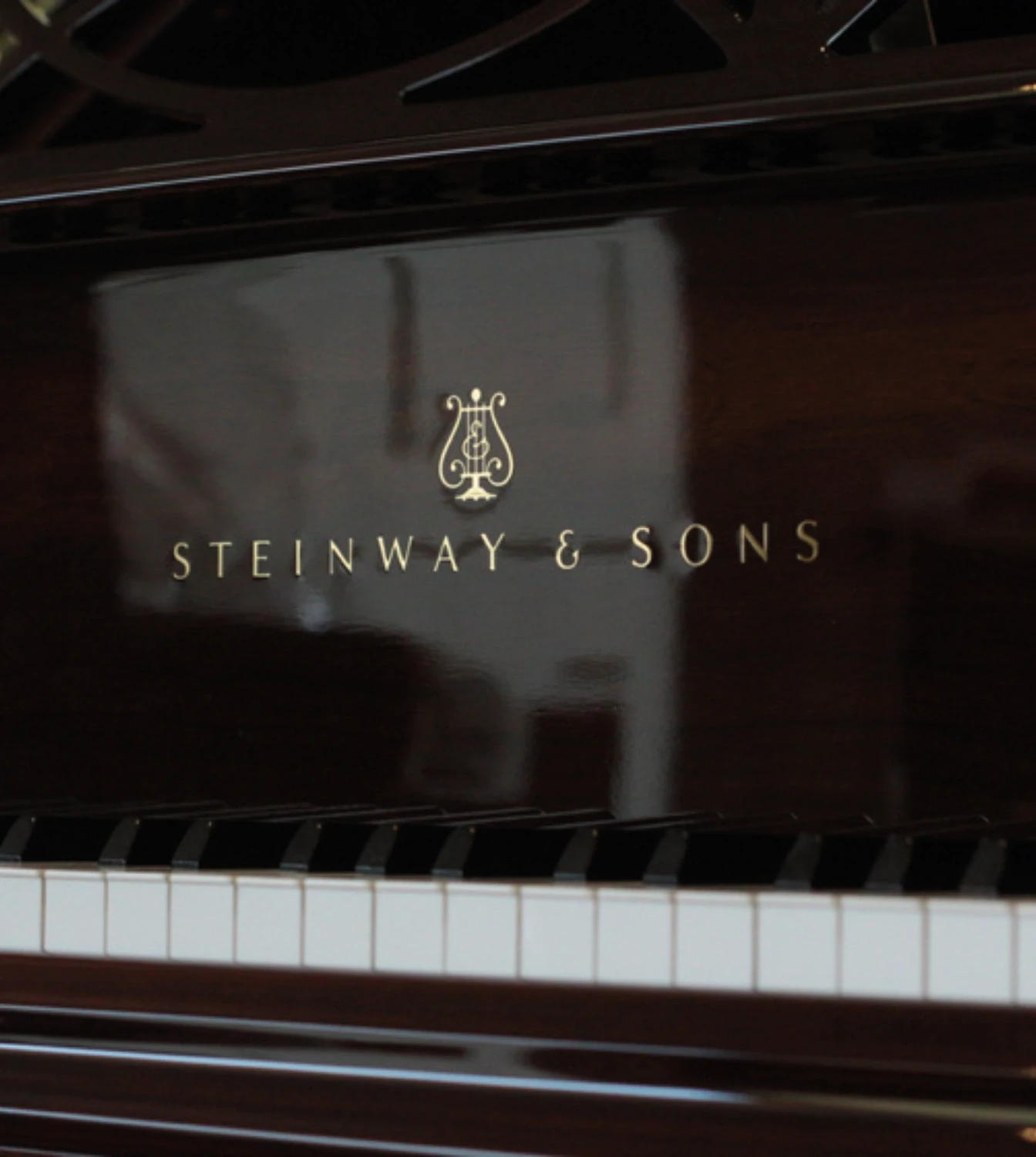 Close-up of the keyboard, highlighting the refined ivory and ebony keys set against the rich rosewood finish.