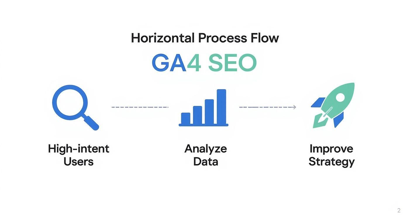 Infographic about organic traffic google analytics