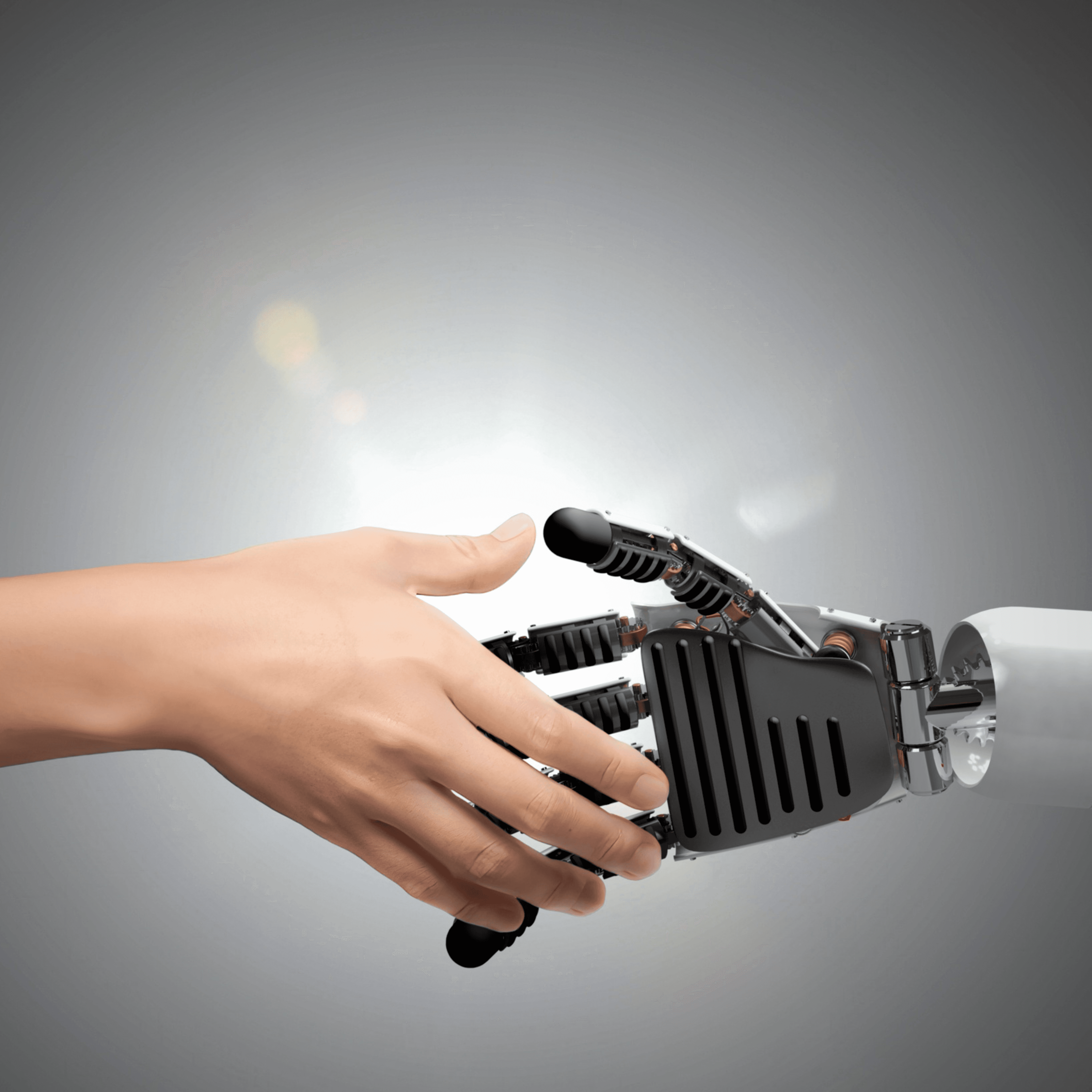 Portrait of a small brown dog on yellow background