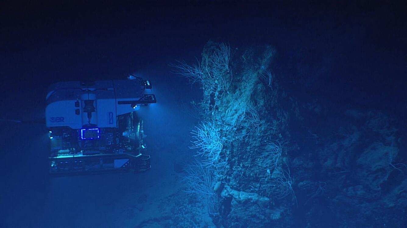 Deep Discoverer ROV illuminating a coral-covered rock face in deep blue water
