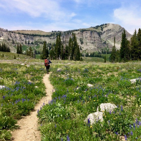   Using leading lines can create interesting photos and draw eyes towards your subject.  