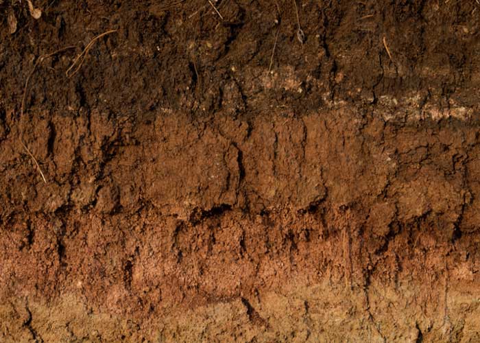 Photo of farmers field