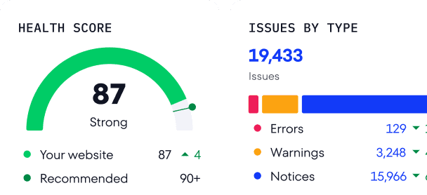 Run a Website Audit