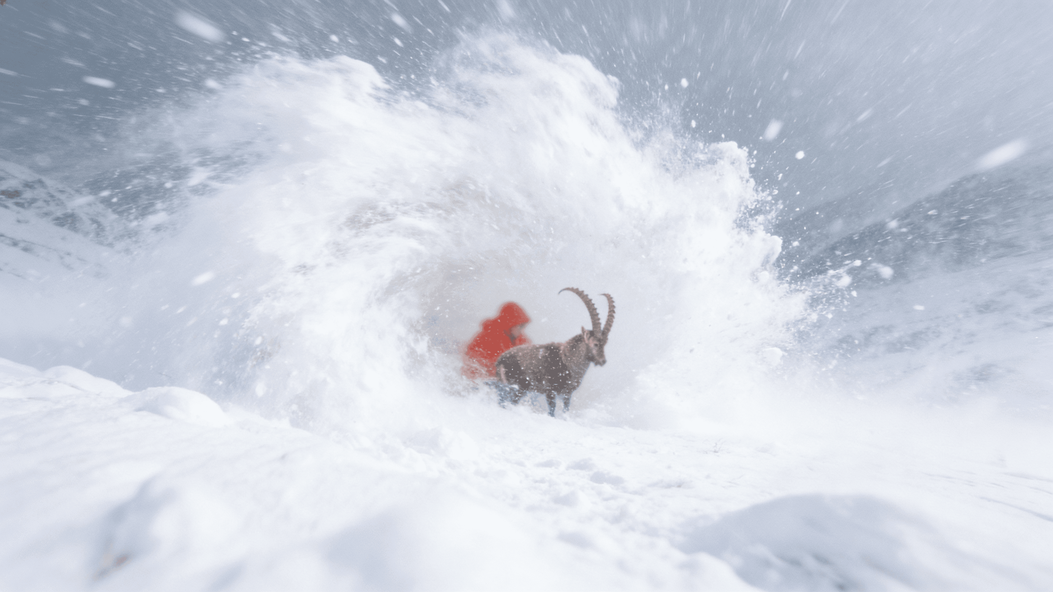 Wide-angle isolation of subject in alpine void, Minimalist environmental composition, Negative space architecture, Sovereign Visual Engineering, Engineered by Aventi