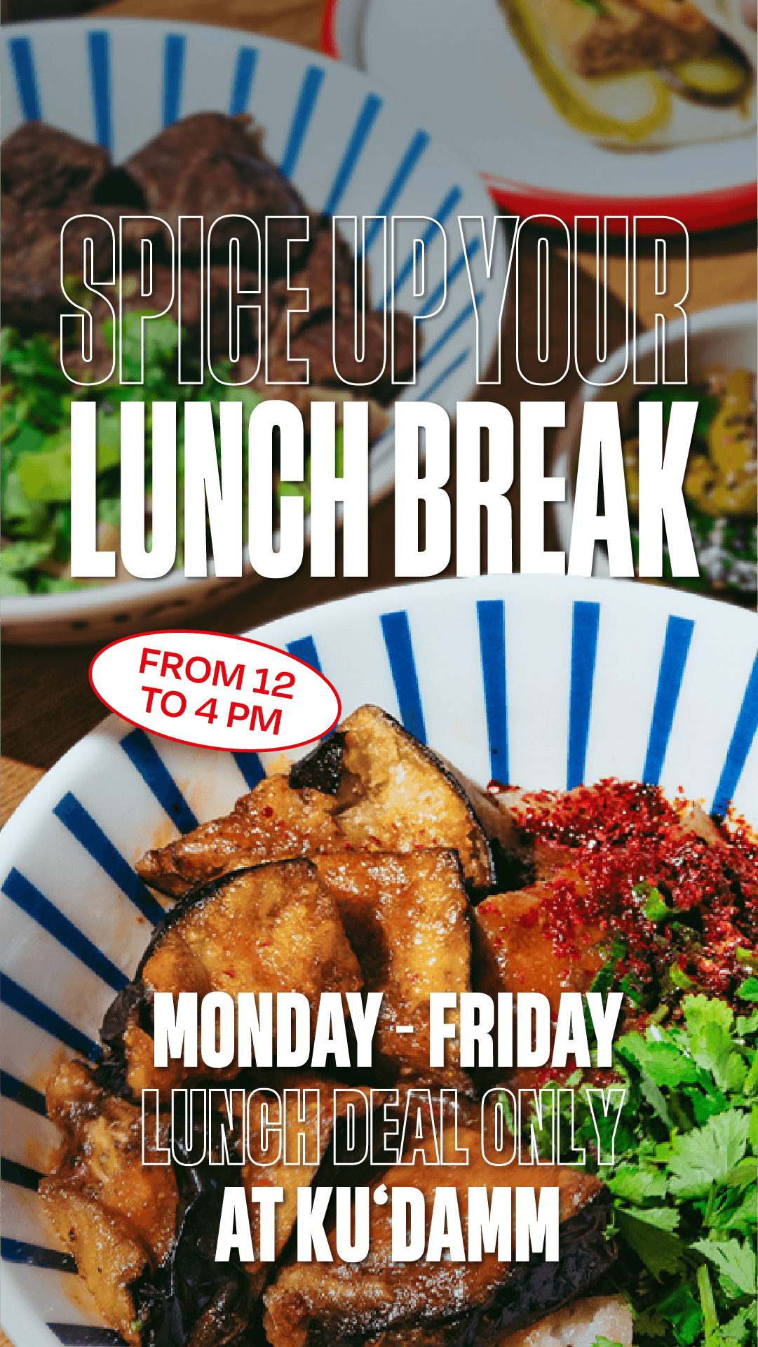 Wen Cheng Noodle Bowl Biang Biang Style Lunchbreall