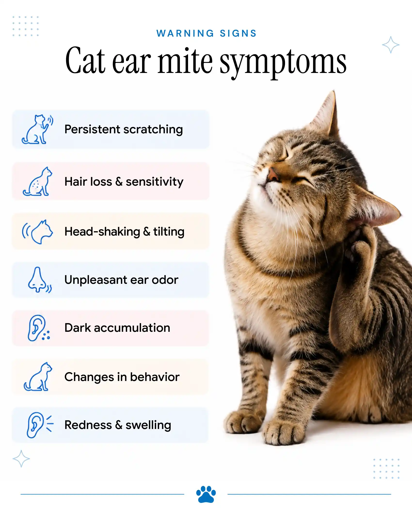 An infographic showing the signs of ear mites in cats and what you must do