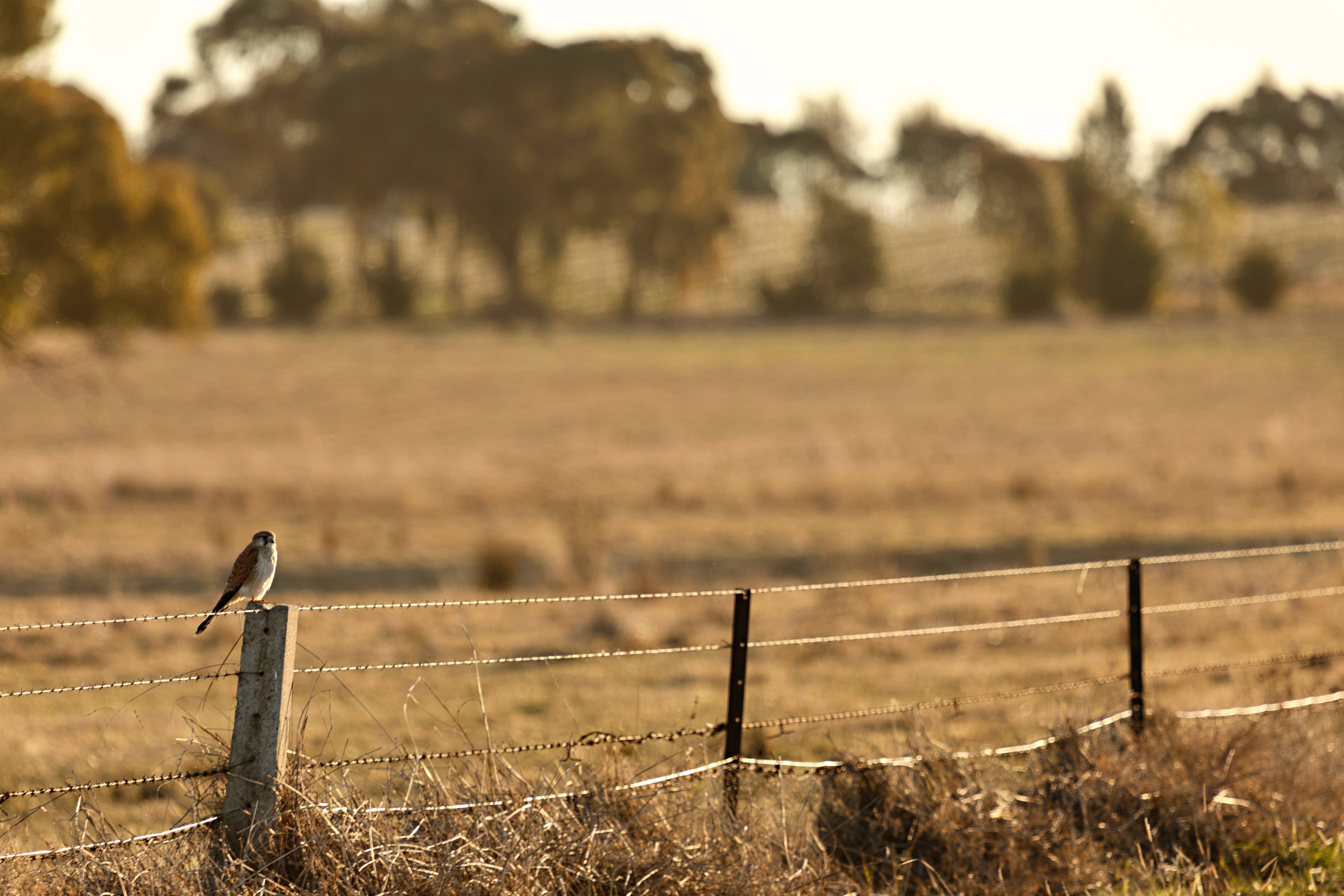 A woman sitting at a table with a cup of coffee
