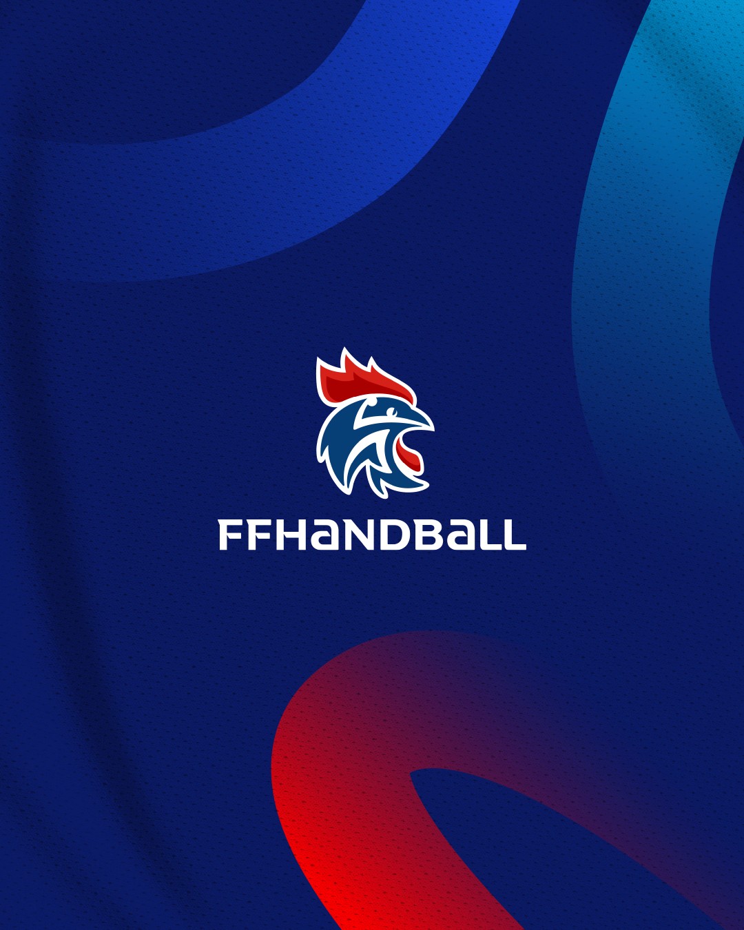 Charte graphique fédérale de la Fédération Française de Handball, identité visuelle institutionnelle