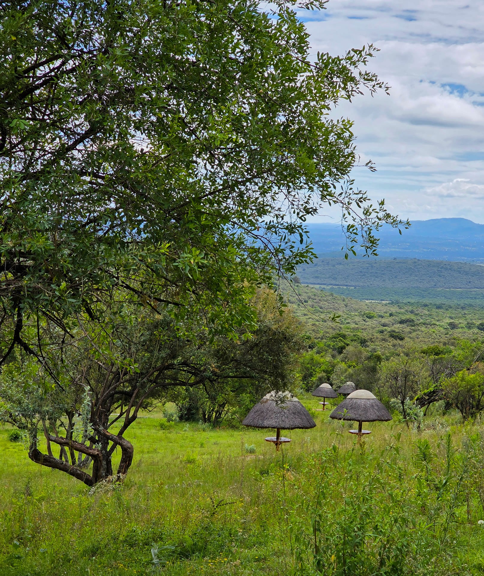 View across Enonkishu Conservancy