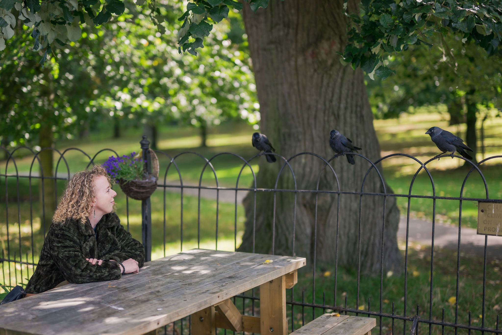 Maryrose sitting on bench