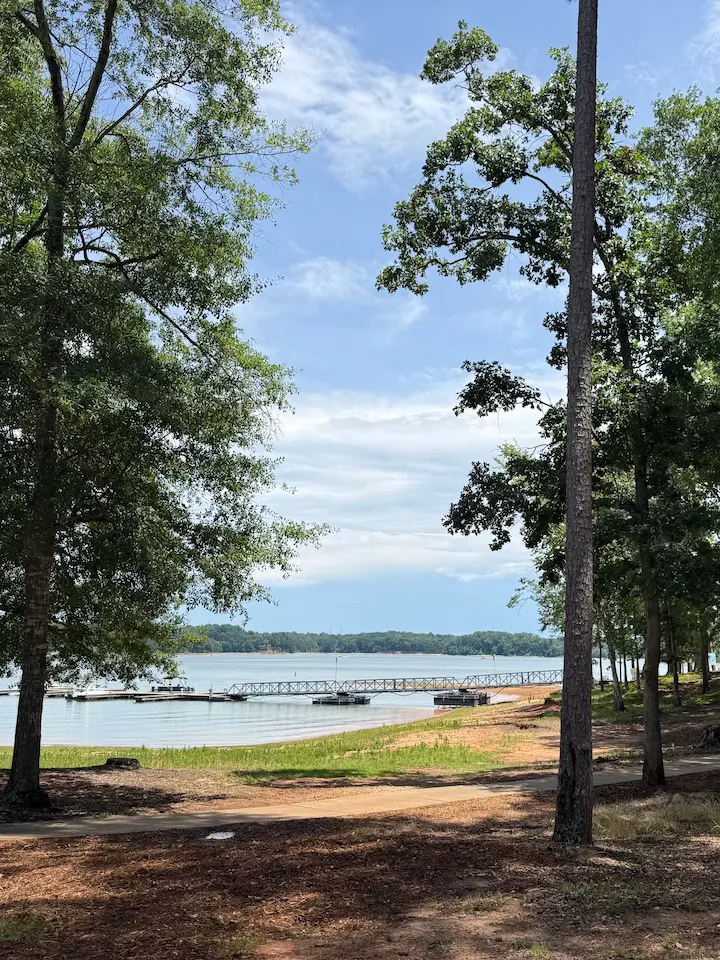View through trees toward Lake Hartwell with a boat dock and calm water surrounded by nature.