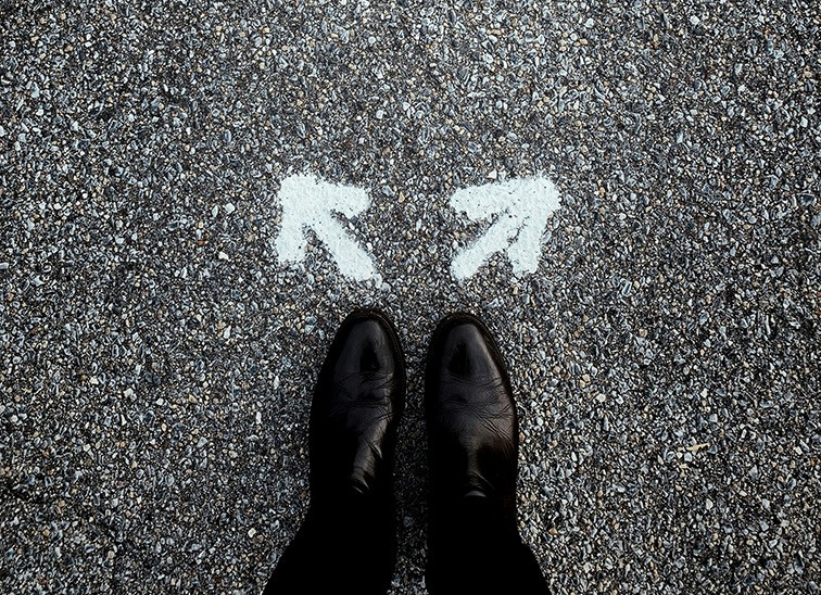 Green bunny-shaped traffic light glowing, symbolizing a fresh start and new direction for brand identity.