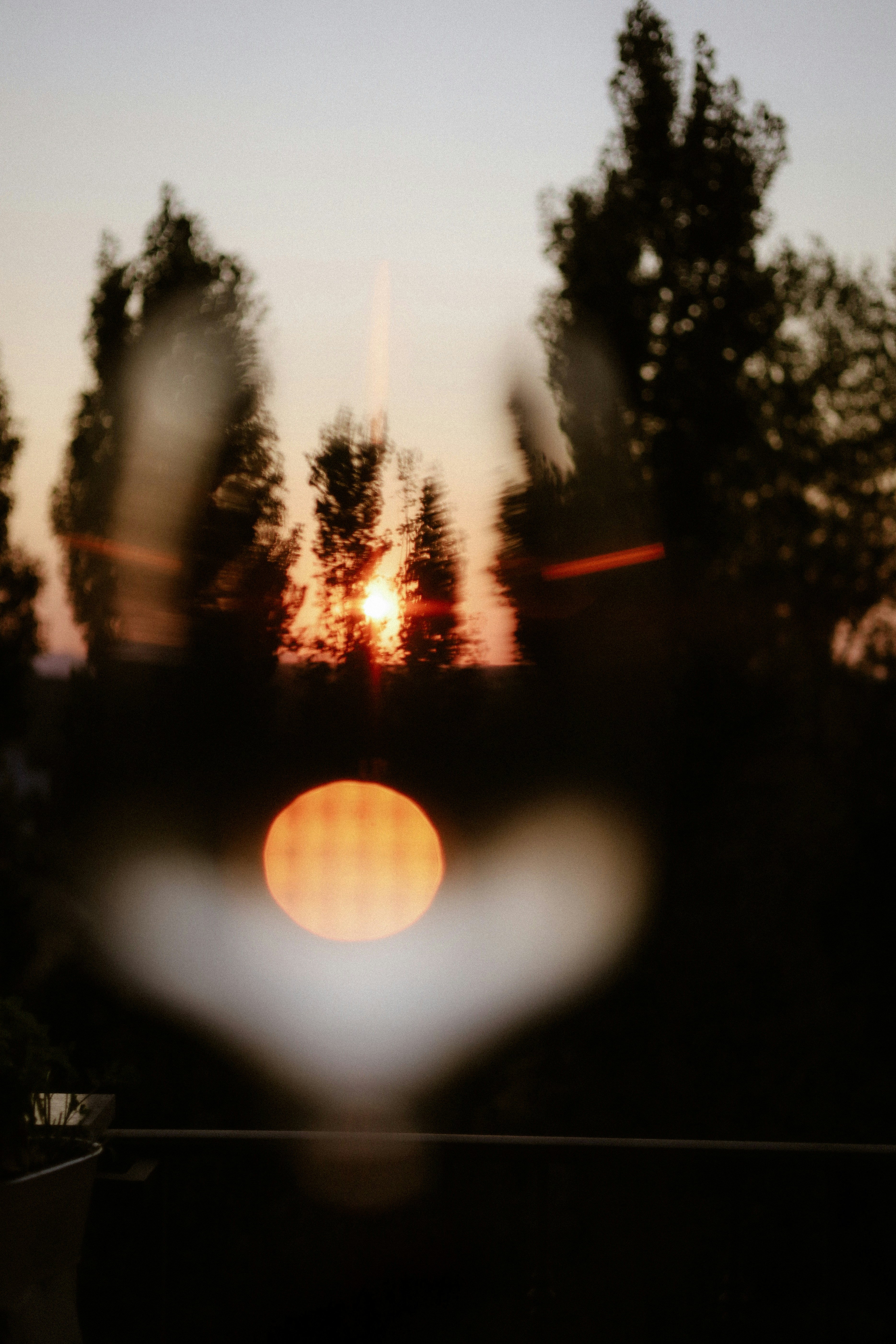 Sunset seen through trees with a blurred foreground