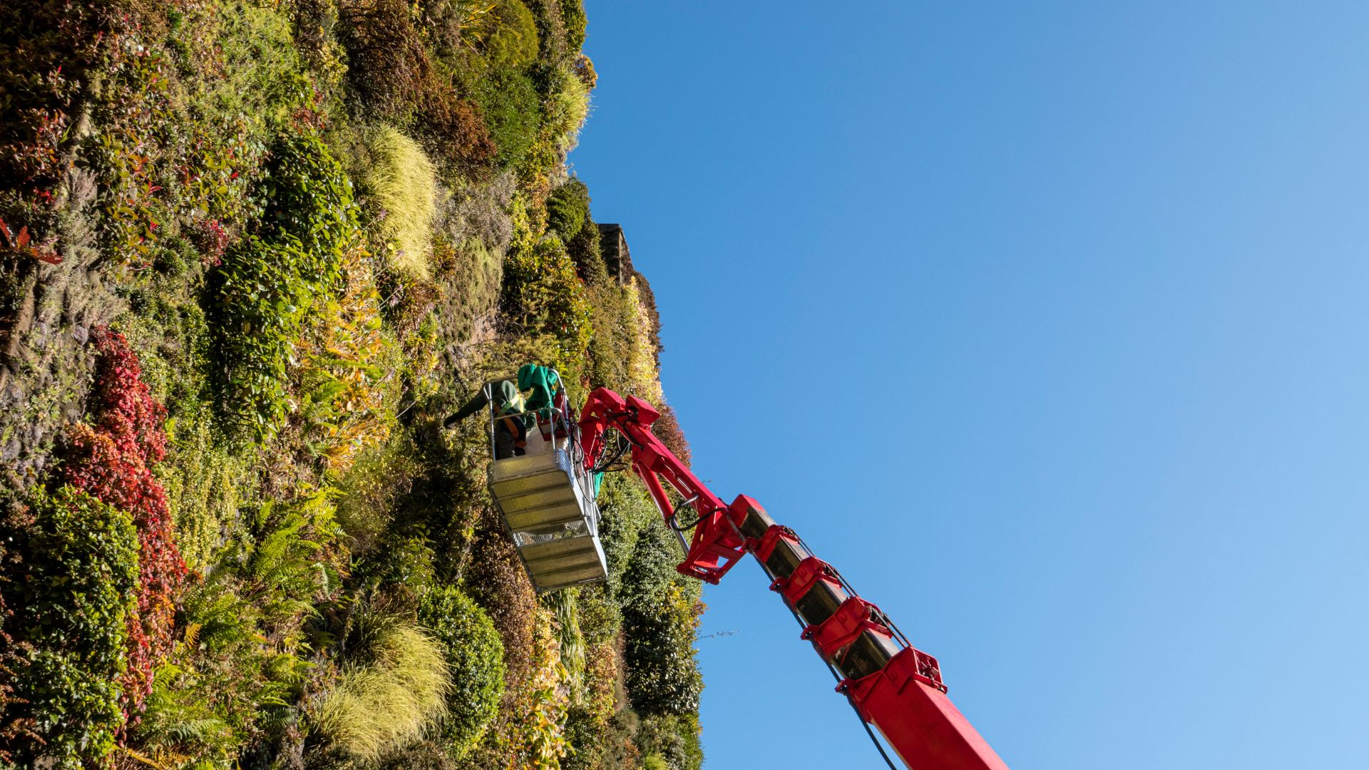 Instalación de jardines verticales en México