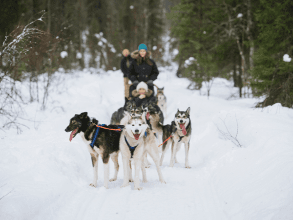 Juho Kuva, Visit Rovaniemi