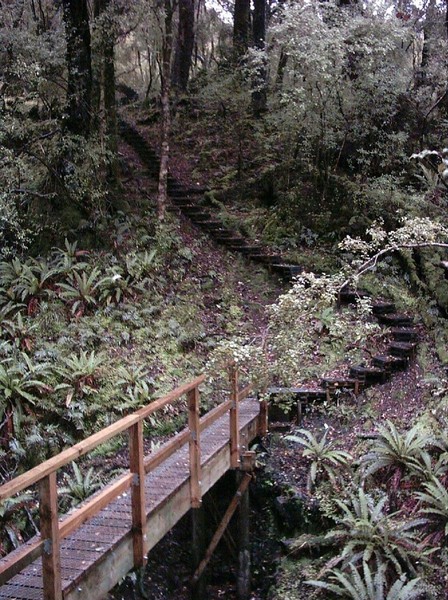 Rakiura Track