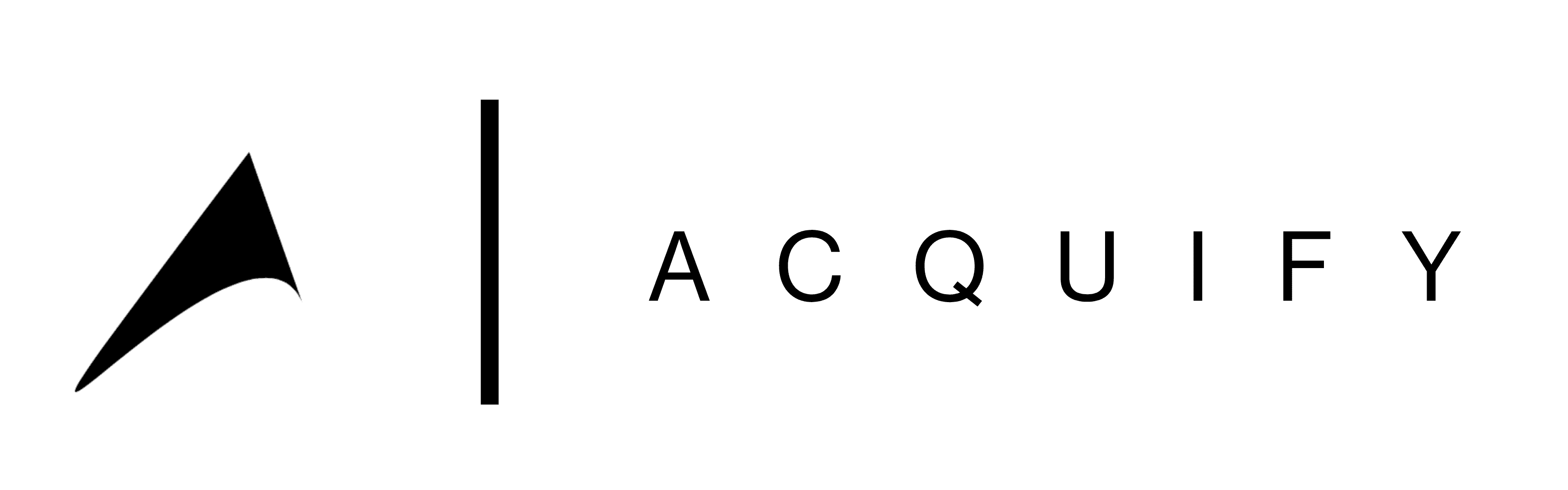 Company logo in white