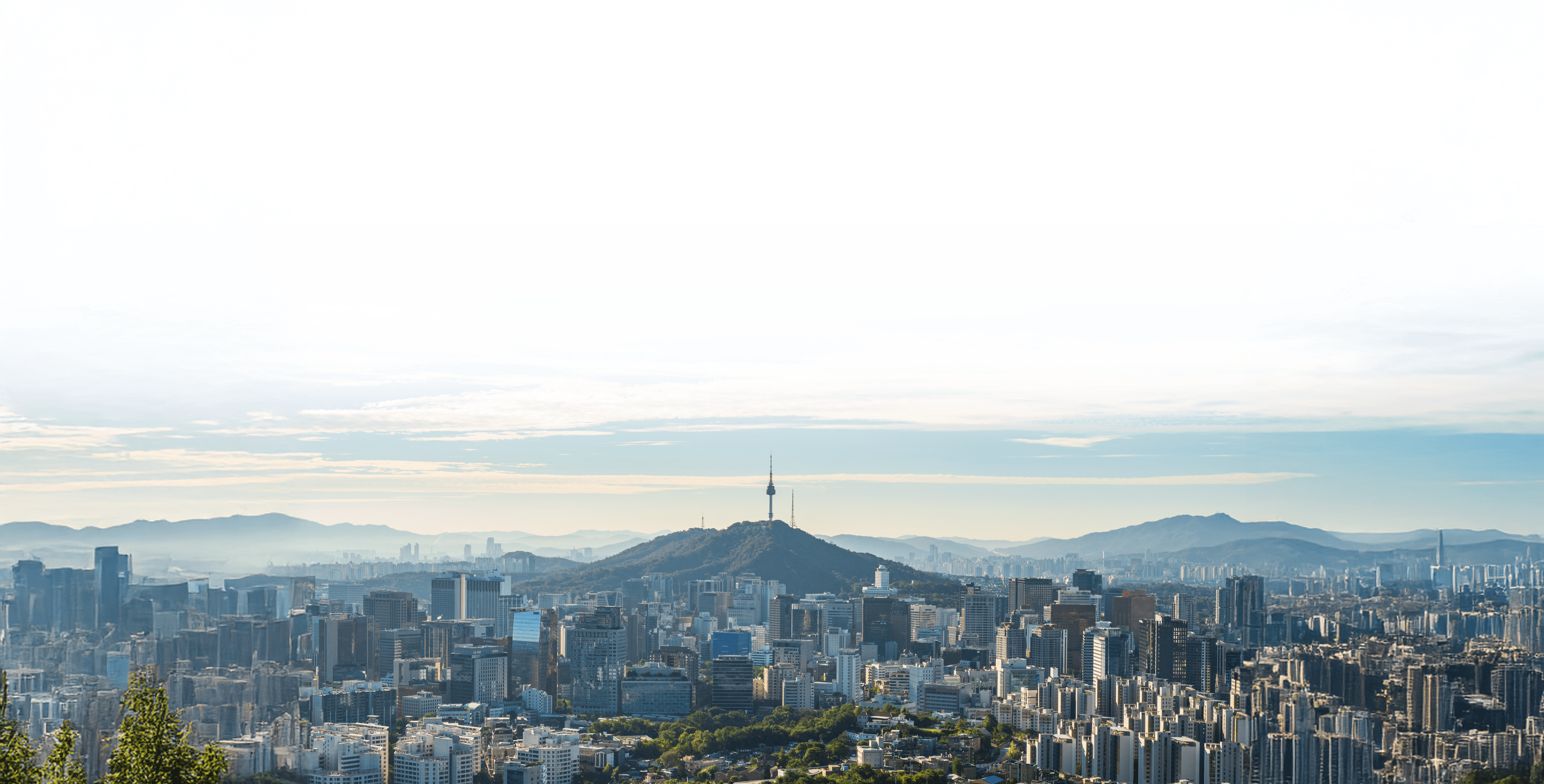 프라임감정평가법인