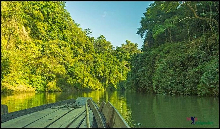 Forest river boating