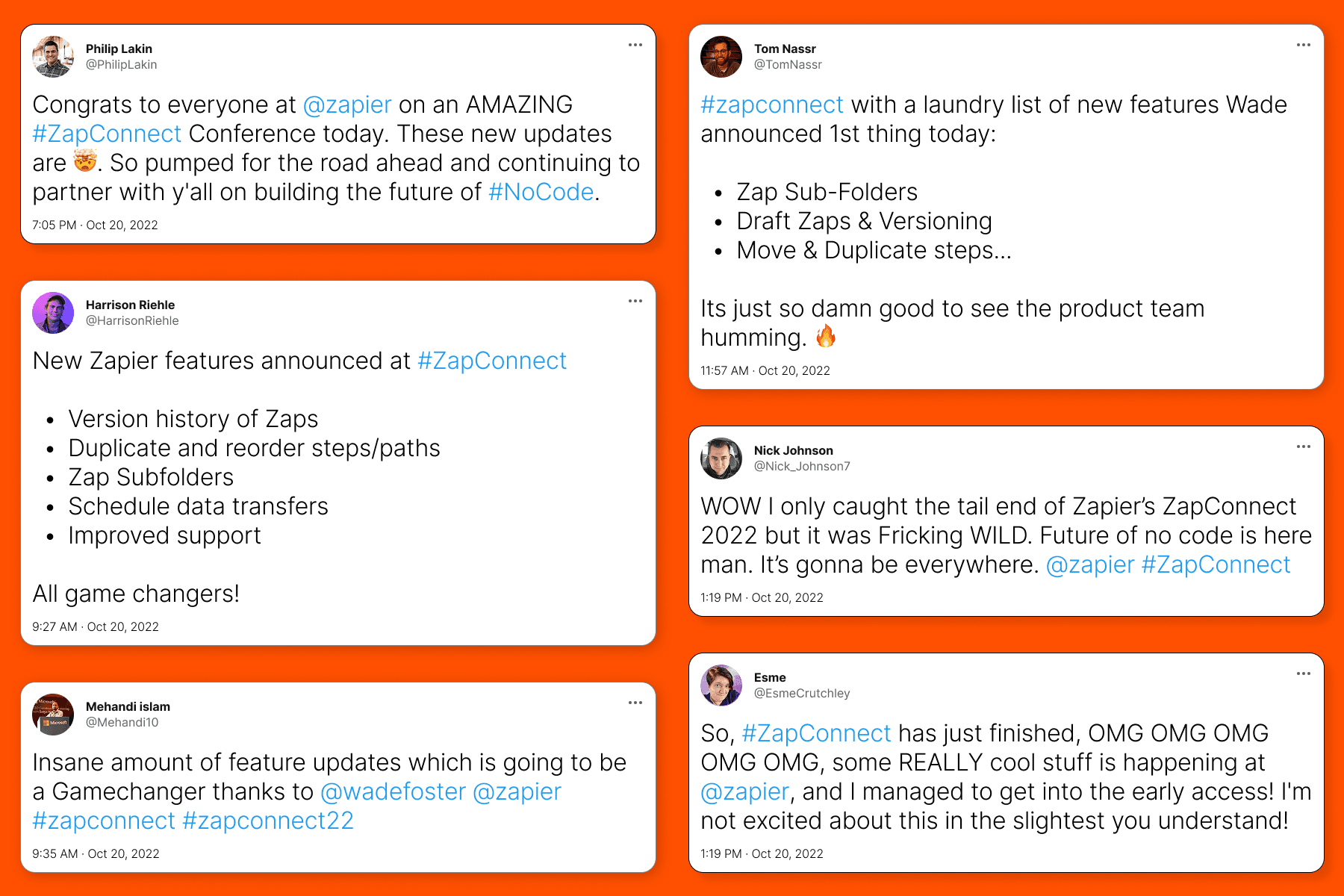 trees on forest with sun rays